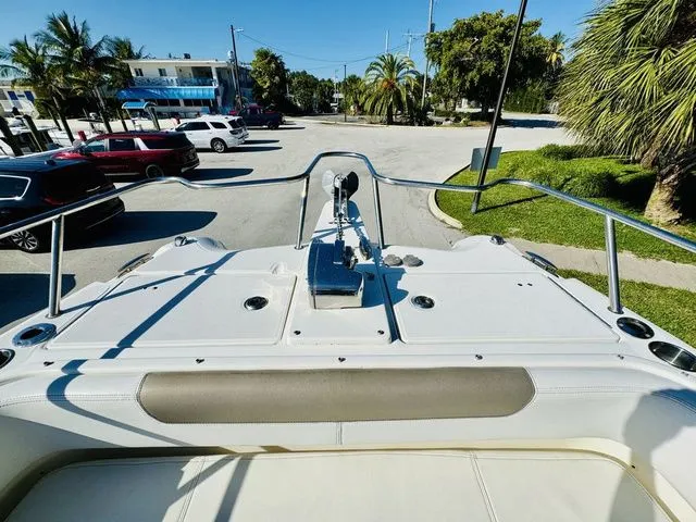 Slide: The Image of World Cat 255 DC 2020 - 20