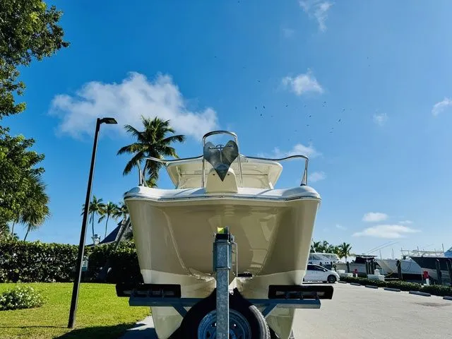 Slide: The Image of World Cat 255 DC 2020 - 27