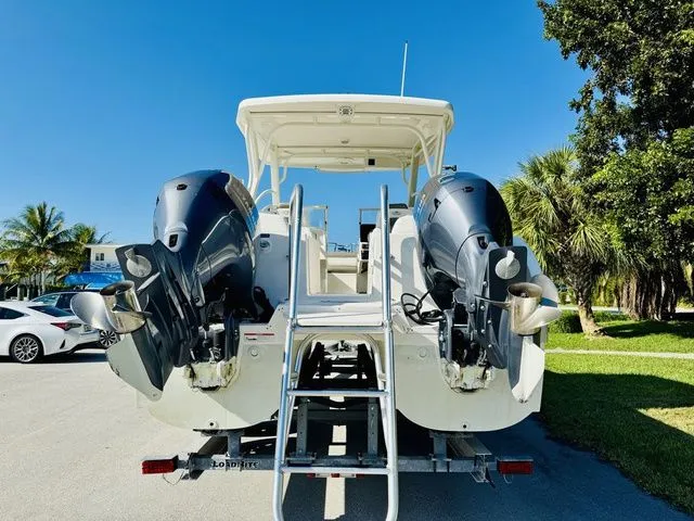 Slide: The Image of World Cat 255 DC 2020 - 4