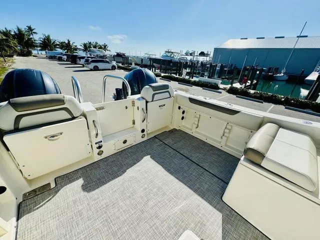 Slide: The Image of World Cat 255 DC 2020 - 8