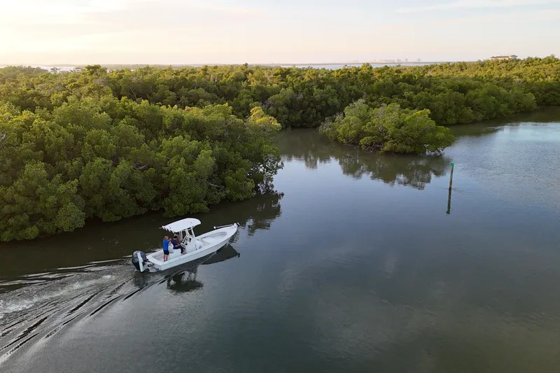Slide: The Image of 2016 Dorado 23 boat cruising through serene mangrove-lined waterway. - 24