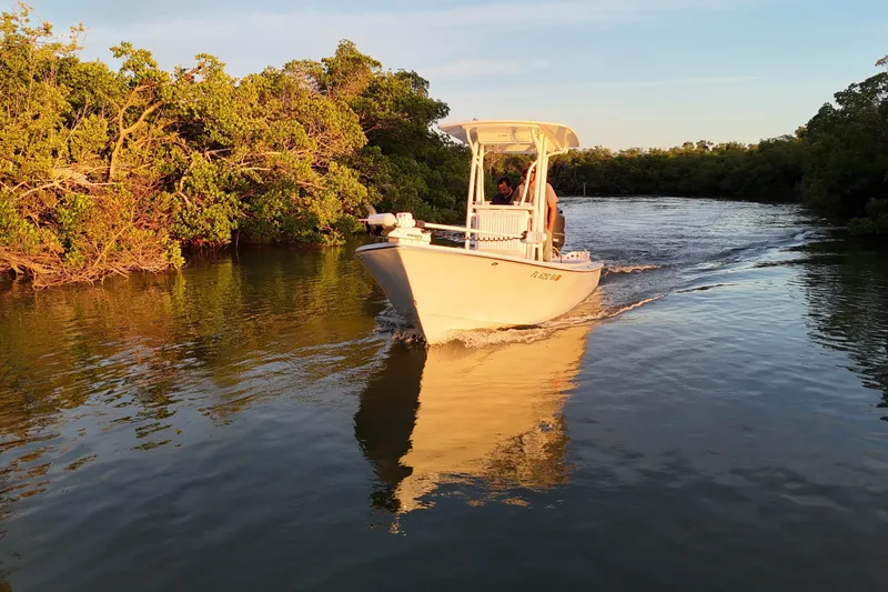 Slide: The Image of 2016 Dorado 23 boat cruising through a scenic waterway at sunset. - 27
