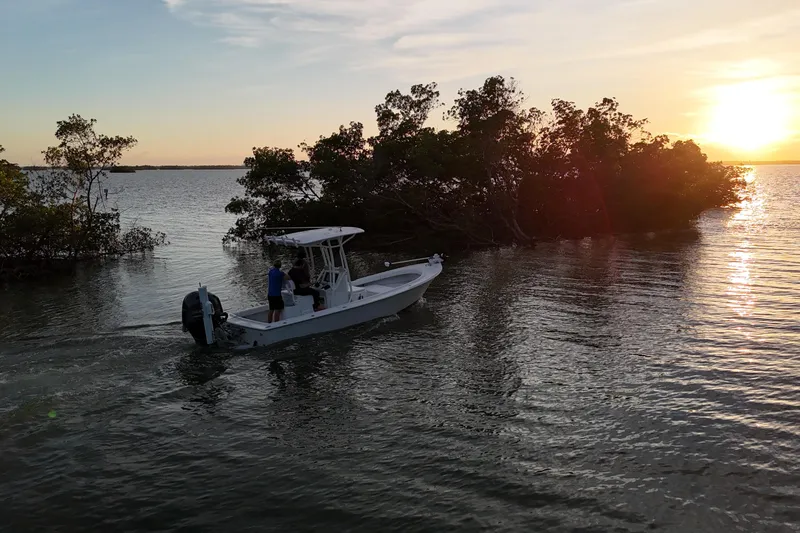 Slide: The Image of 2016 Dorado 23 boat cruising near mangroves at sunset. - 30