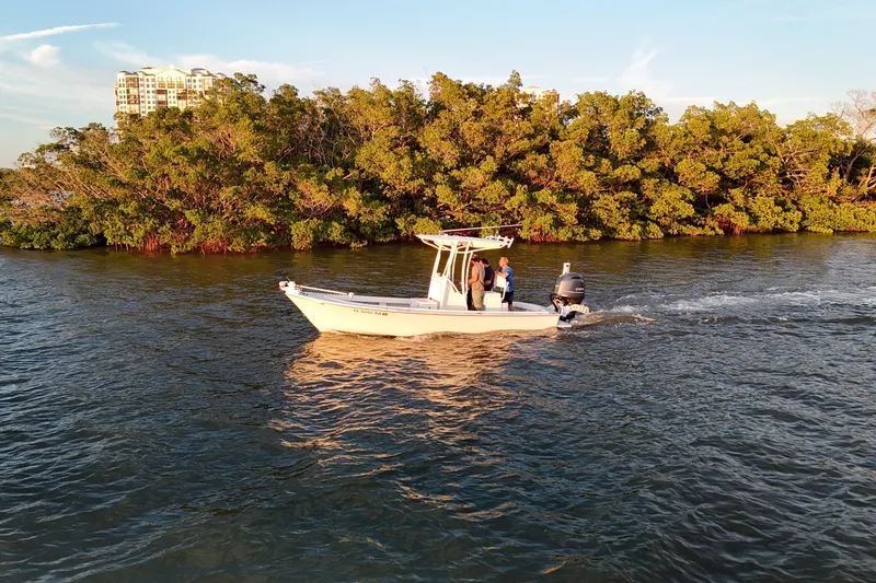 Slide: The Image of 2016 Dorado 23 boat cruising near lush green shoreline at sunset. - 32