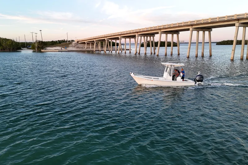 Slide: The Image of Boat cruising under bridge on water, Dorado 23, 2016 model, scenic view. - 38