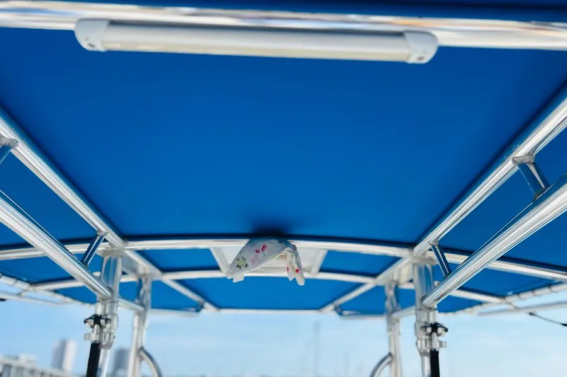 Slide: The Image of Blue boat canopy with metal frame, Whitewater make, 2016 model, clear sky background. - 45