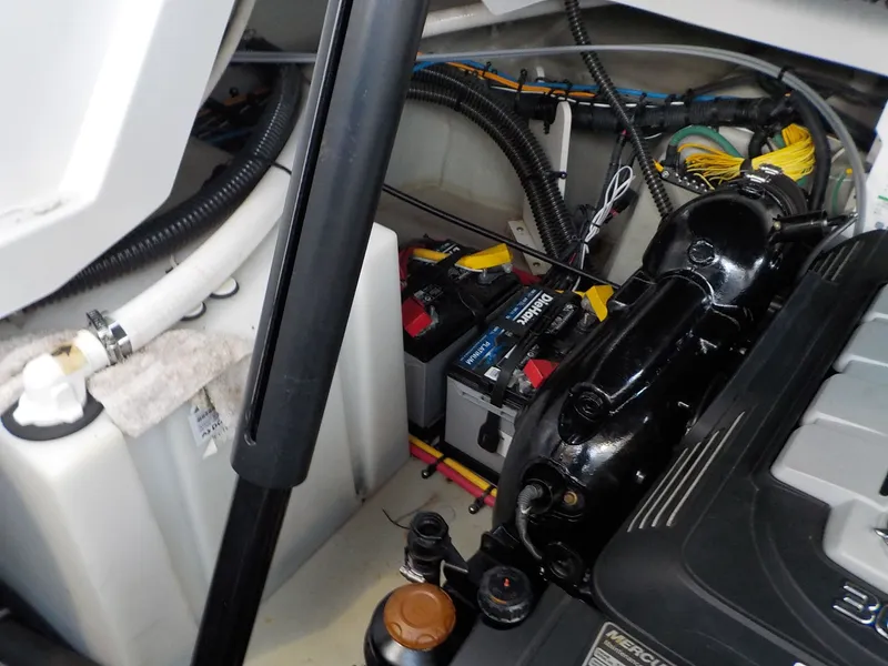 Slide: The Image of Crownline Boats 264 CR 2019 - 22