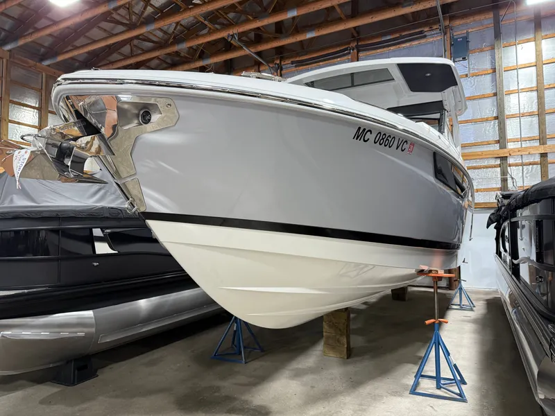 The Image of Cobalt R31 2025 - 1