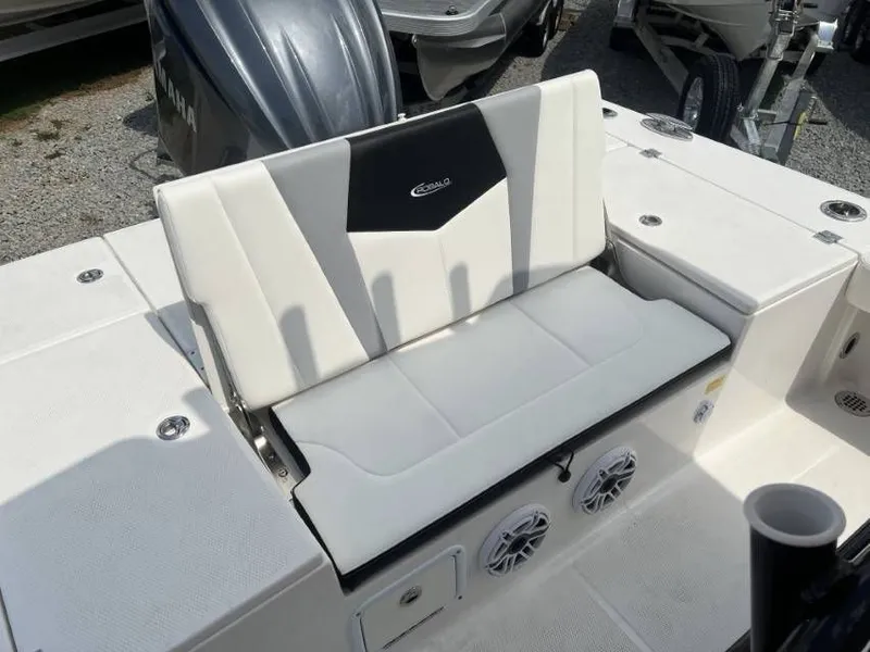 Slide: The Image of Robalo 246 Cayman 2022 - 9