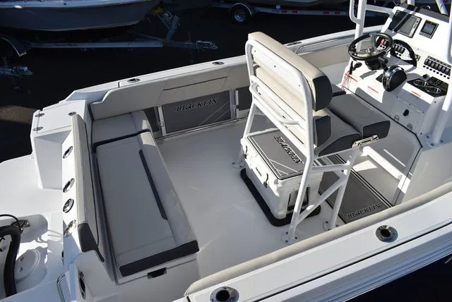 Slide: The Image of Blackfin 222 CC 2023 - 15