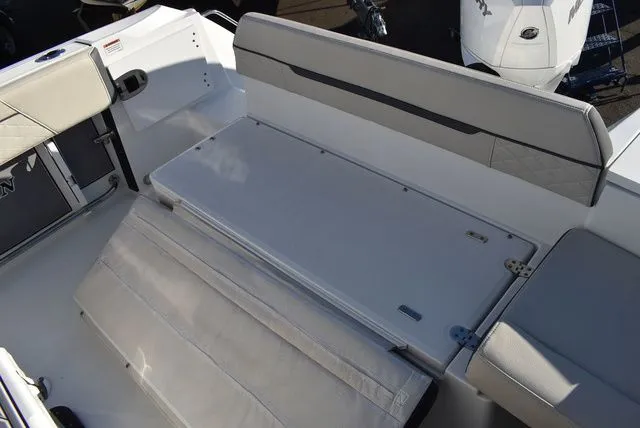 Slide: The Image of Blackfin 222 CC 2023 - 39