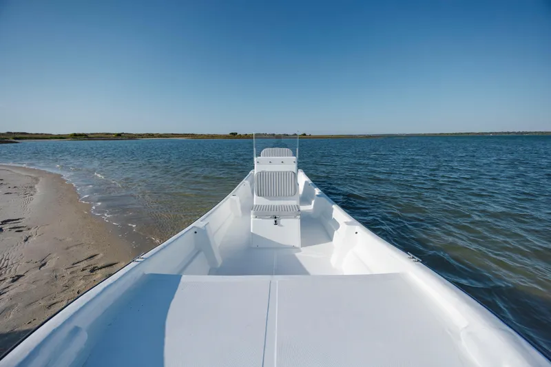Slide: The Image of 2025 Panga Eduardono boat on calm waters near sandy shore under clear blue sky. - 4