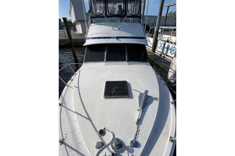 Slide: The Image of 1981 Bertram 35 Sportfish boat docked, showcasing bow and cabin area. - 24