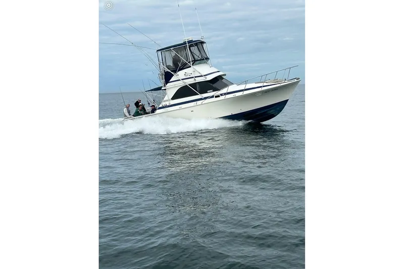 Slide: The Image of 1981 Bertram 35 Sportfish cruising on open water with passengers onboard. - 32