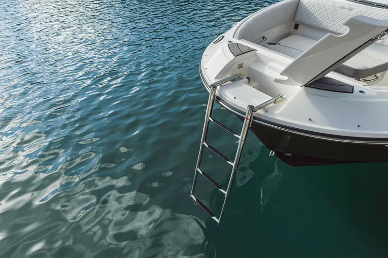 Slide: The Image of Sea Ray SDX 250 2026 - 24