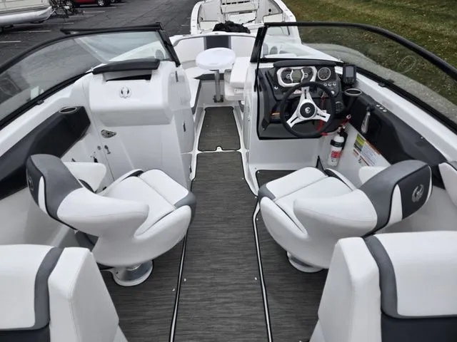 Slide: The Image of Scarab 255 ID 2021 - 11