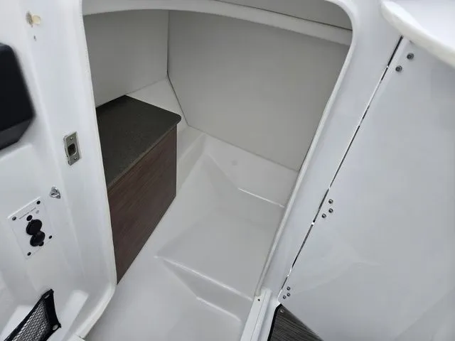 Slide: The Image of Scarab 255 ID 2021 - 15