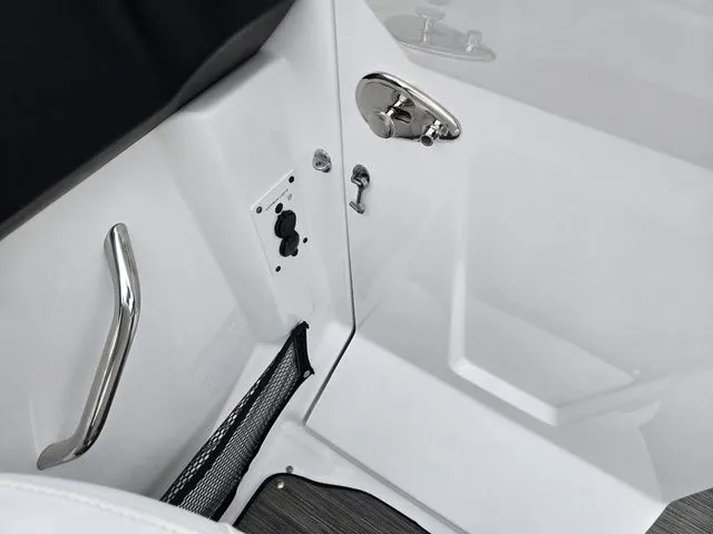 Slide: The Image of Scarab 255 ID 2021 - 16