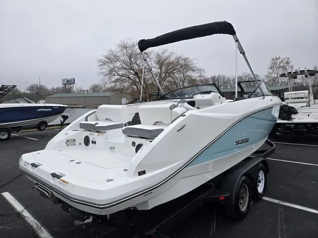 Slide: The Image of Scarab 255 ID 2021 - 17