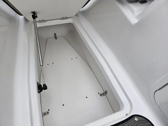 Slide: The Image of Scarab 255 ID 2021 - 22