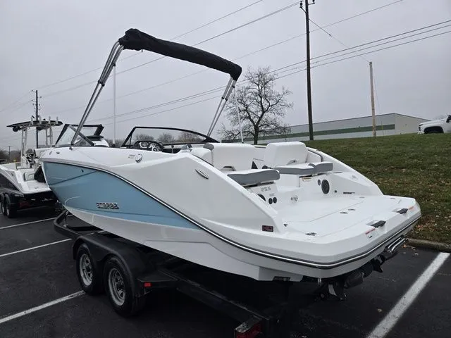 Slide: The Image of Scarab 255 ID 2021 - 3