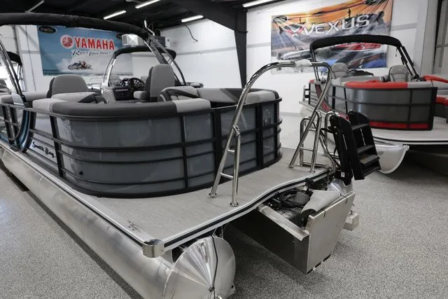 Slide: The Image of South Bay 224 RS 2.75 Hybrid Arch 2026 - 5