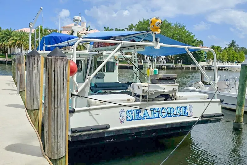Slide: The Image of 1996 Lafitte Skiff 48 "Seahorse" docked by palm trees and waterfront homes. - 7