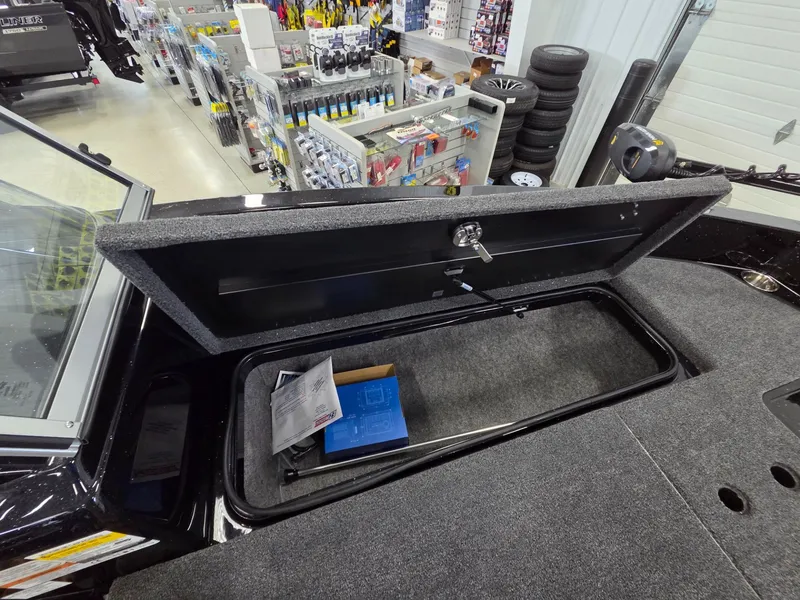 Slide: The Image of Triton 206 Allure 2026 - 12