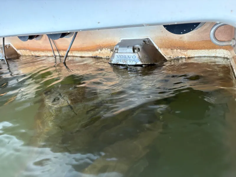 Slide: The Image of Cobalt 360 2004 - 31