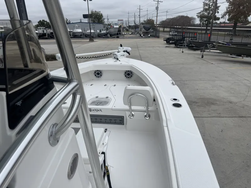 Slide: The Image of Blackjack 256 Coastal 2024 - 6