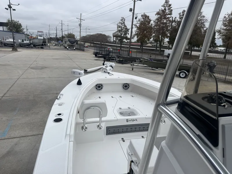 Slide: The Image of Blackjack 256 Coastal 2024 - 8