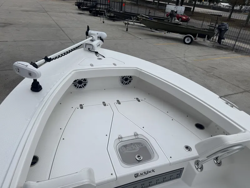 Slide: The Image of Blackjack 256 Coastal 2024 - 9