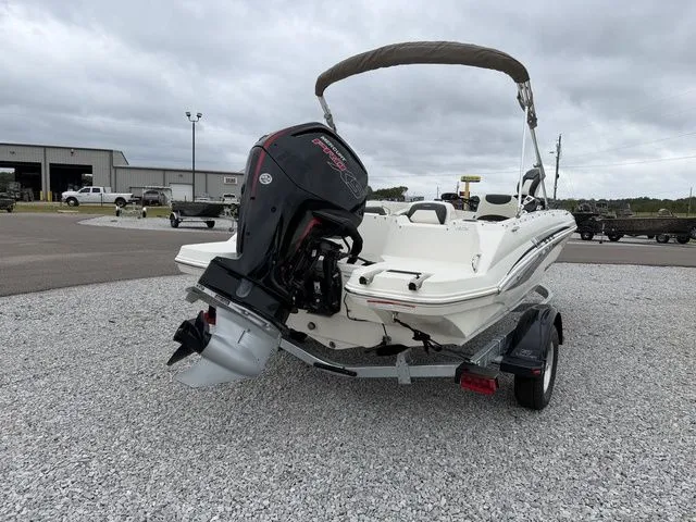 Slide: The Image of Stingray 182 2019 - 4