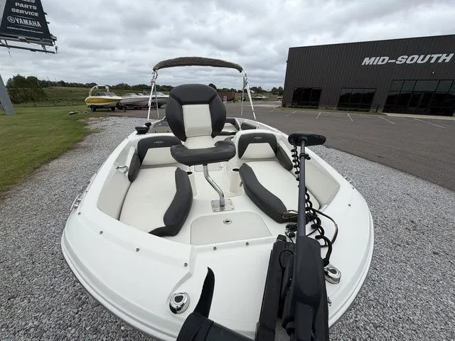 Slide: The Image of Stingray 182 2019 - 6