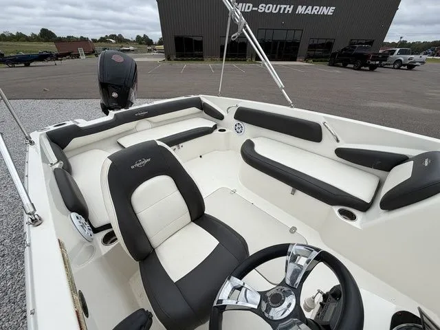 Slide: The Image of Stingray 182 2019 - 7