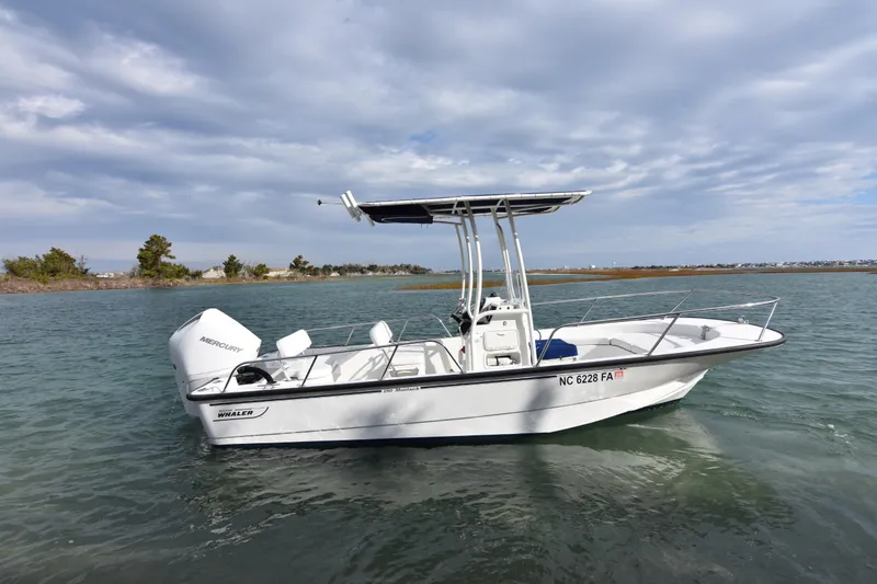 The Image of 2015 Boston Whaler 190 Montauk boat on calm water under cloudy sky. - 0
