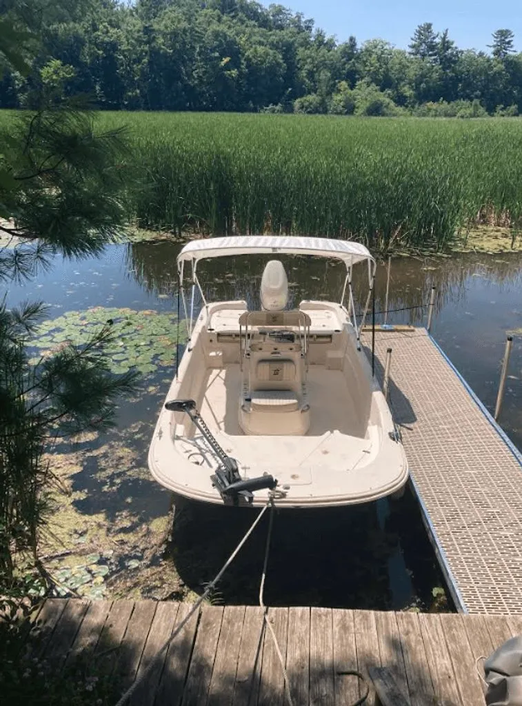 Slide: The Image of Carolina 198 DLV 2017 - 3