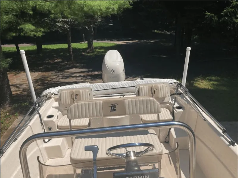 Slide: The Image of Carolina 198 DLV 2017 - 4