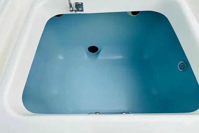 Slide: The Image of 2025 Boston Whaler 250 Dauntless boat interior compartment with blue finish. - 13