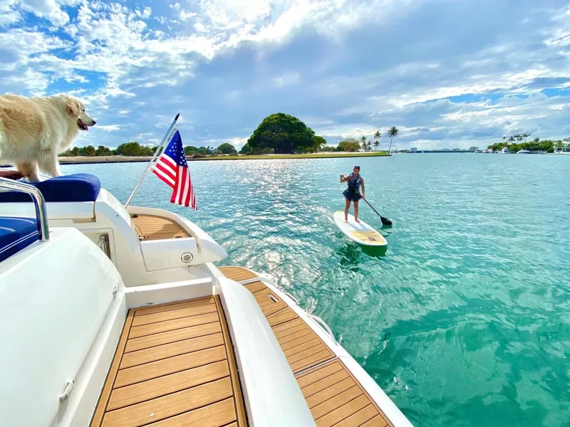 Slide: The Image of 2007 Fairline Targa 52 yacht with dog and paddleboarder on scenic water. - 3