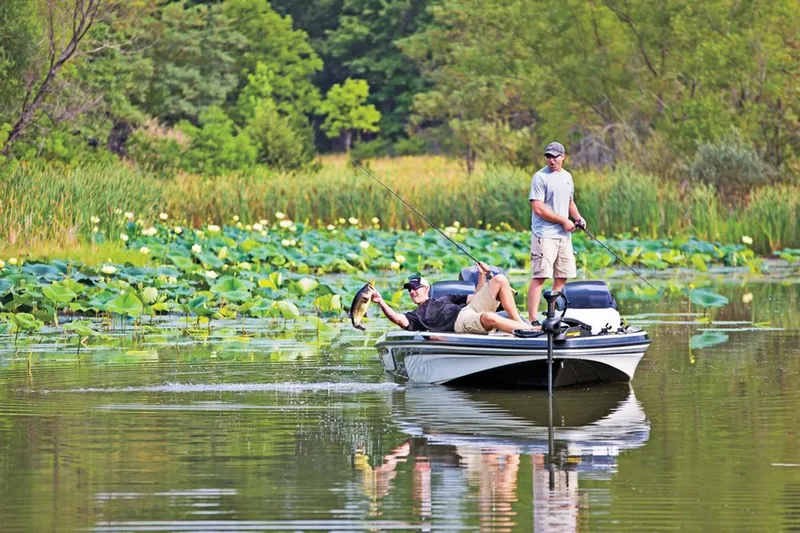 Slide: The Image of Manufacturer Provided Image - 23