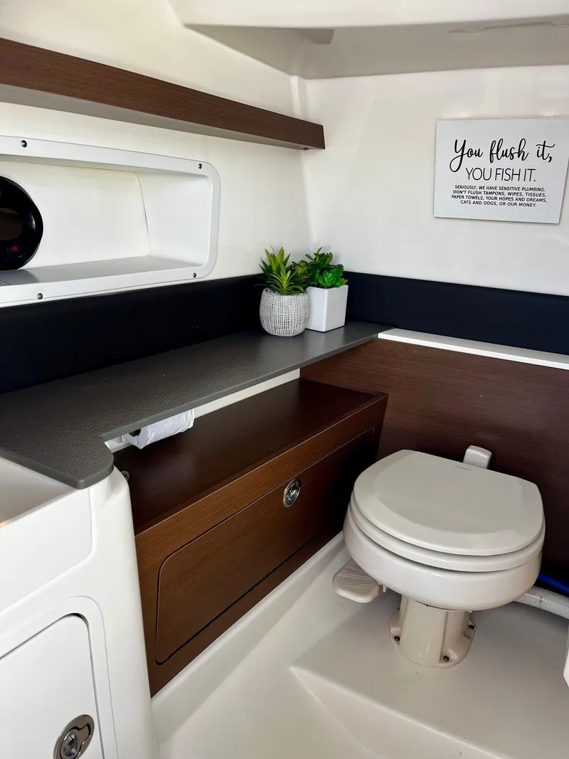 Slide: The Image of Sea Ray SDX 290 Outboard 2020 - 11