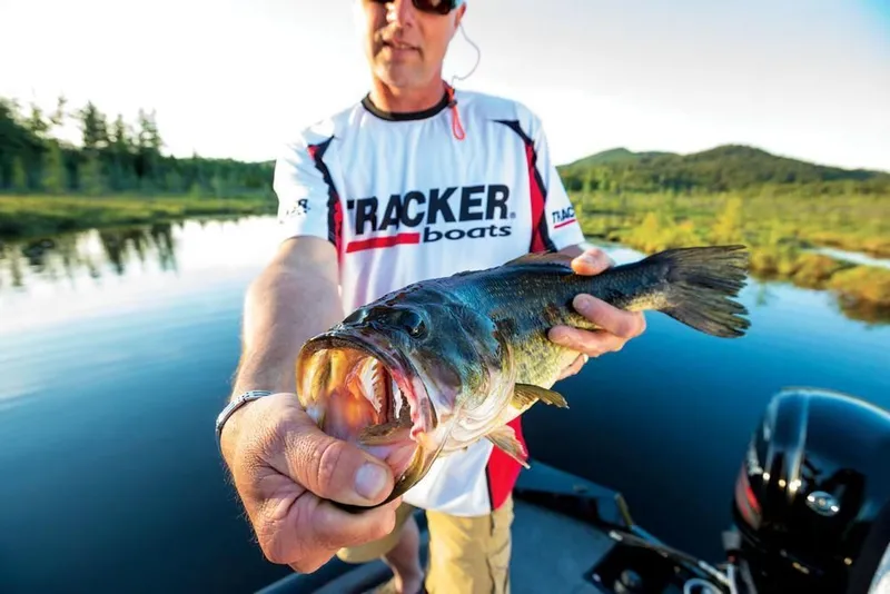 Slide: The Image of Tracker Pro Team 175 TXW 2016 - 45