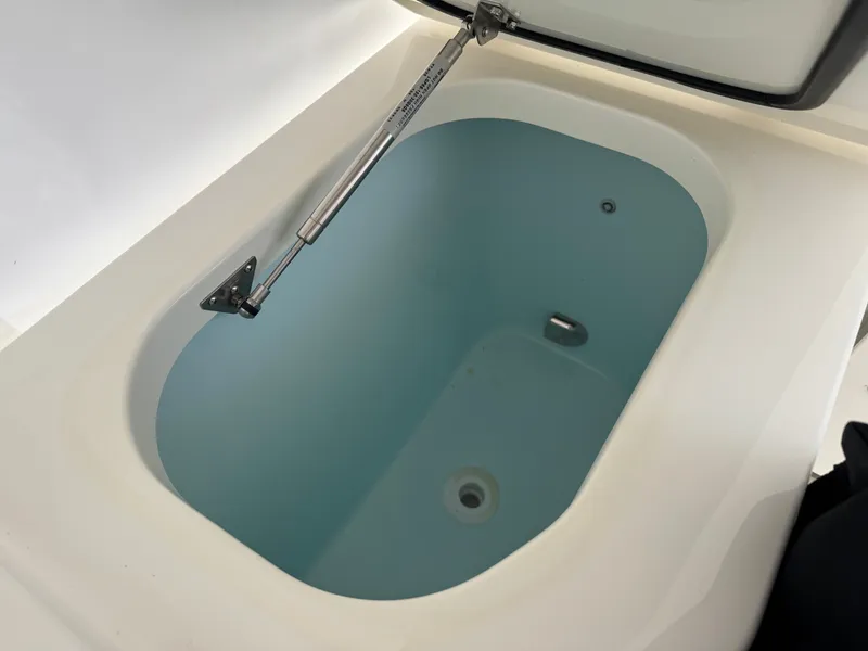 Slide: The Image of World Cat 265DC-X 2026 - 17