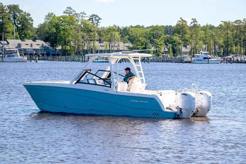 Slide: The Image of World Cat 265DC-X 2026 - 3