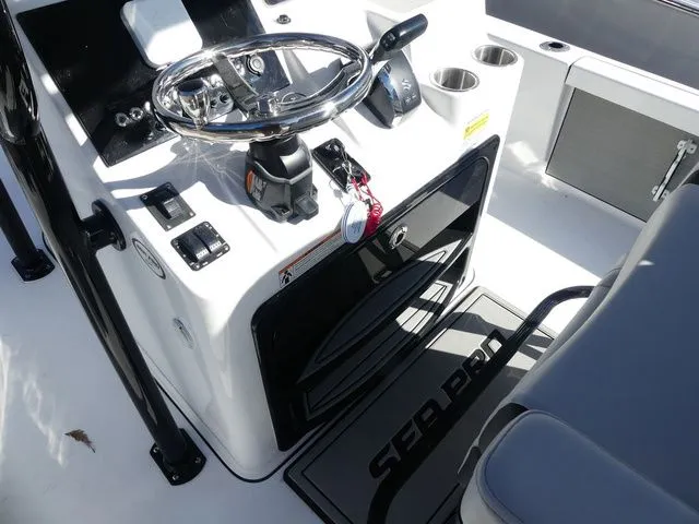 Slide: The Image of Sea Pro 250 DLX 2026 - 10