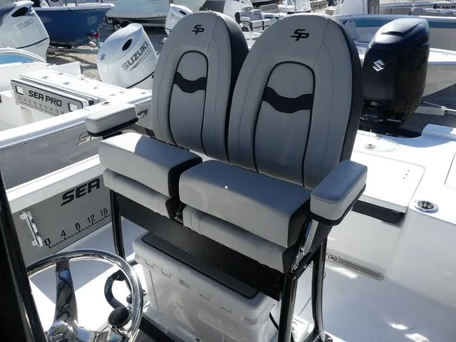 Slide: The Image of Sea Pro 250 DLX 2026 - 11