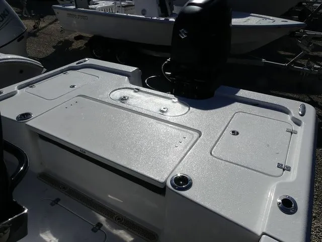 Slide: The Image of Sea Pro 250 DLX 2026 - 12