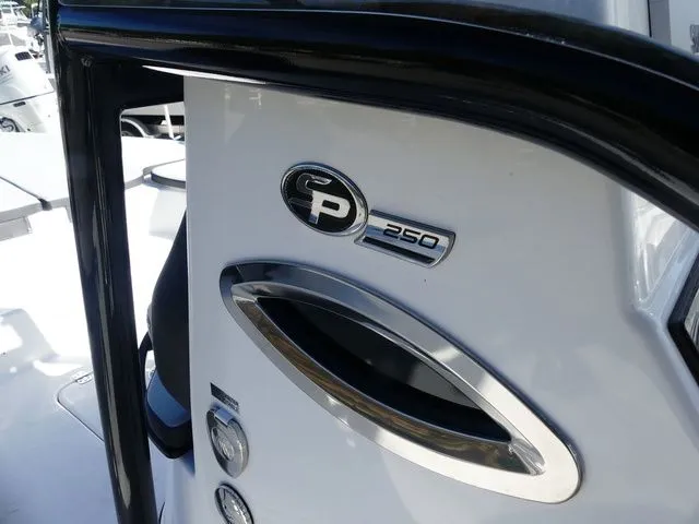 Slide: The Image of Sea Pro 250 DLX 2026 - 14