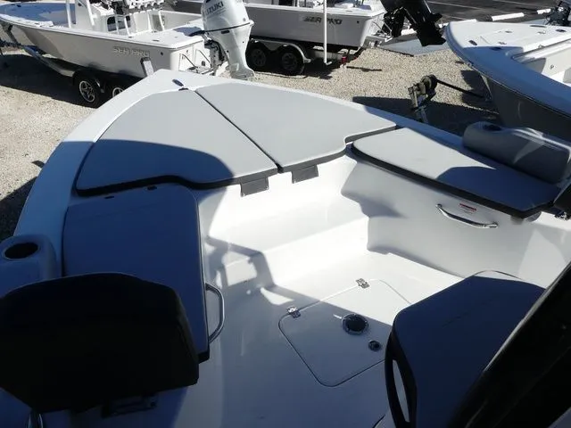 Slide: The Image of Sea Pro 250 DLX 2026 - 15